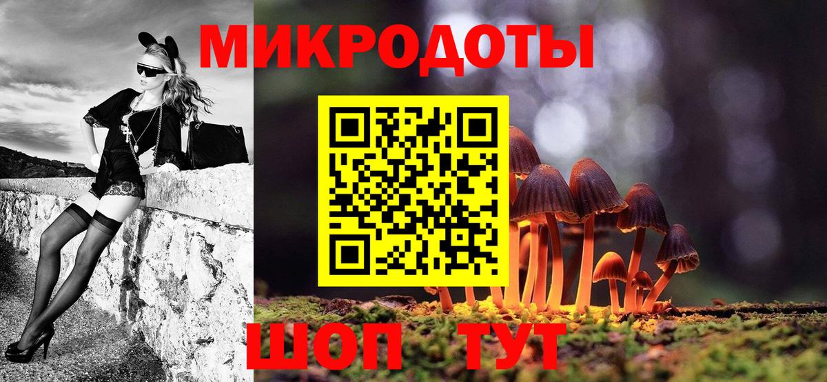Псилоцибиновые грибы Cubensis  Псилоцибиновые грибы мицелий  Вход с VPN  Камень-на-Оби 